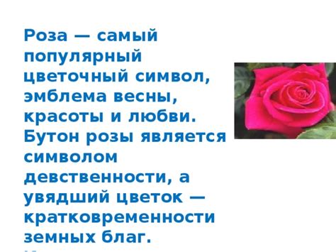  Красота и самовыражение: парикмахерская как символ женственности 