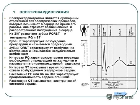  Кратное сердце: популярность и распространение 