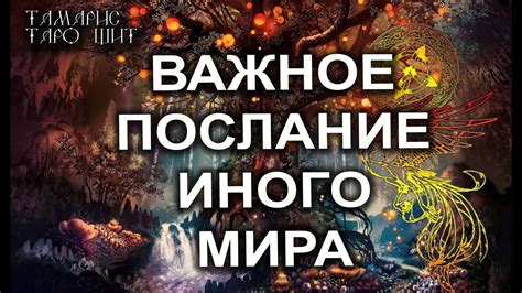  Мечта о поминках: важное послание из мира сновидений 