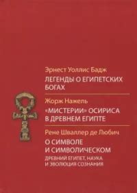  Мифы и легенды о символическом значении сна с серой мышью в руках 