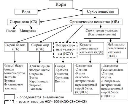  Нейтрально детергентная клетчатка: возможности использования и преимущества 