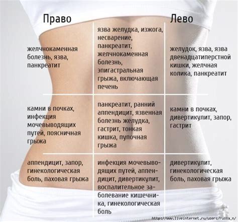  Неправильное пищеварение и его влияние на возникновение острой боли в нижней части живота 