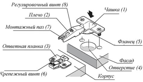  Определение и отделение нужной петли 