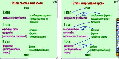  Основные этапы свертывания фланцев 