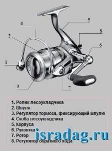  Особенности выбора безынерционной катушки для разных видов рыбалки 