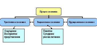  Предмет познания: основные характеристики 