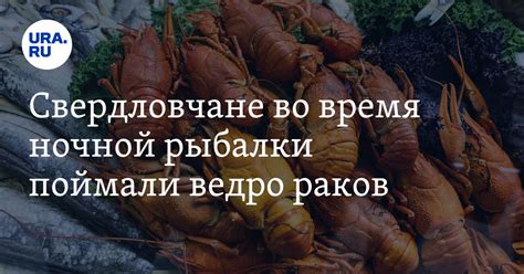  Предостерегающие сны: поймать раков и наступление беды 