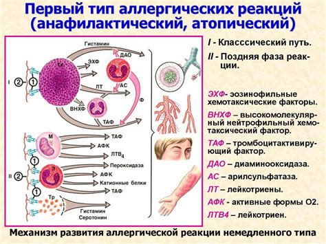  Предотвращение аллергических реакций 