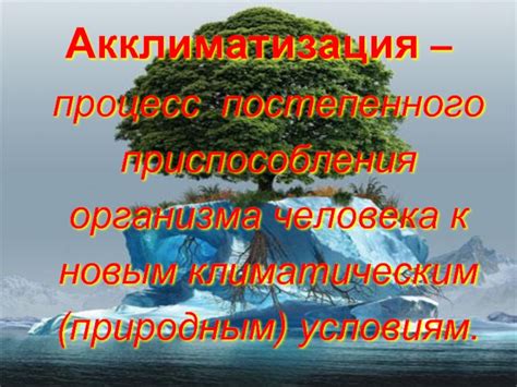  Проблемы с аклиматизацией: сложности приспособления к новым условиям