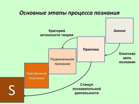  Процесс подсочки: основные этапы и принципы 