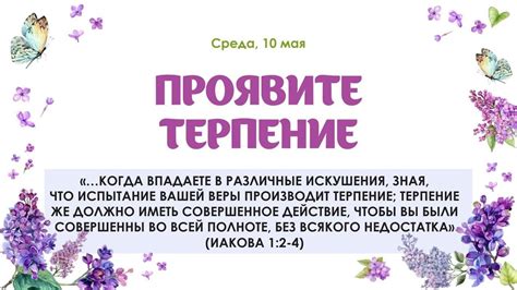  Проявите терпение и настойчивость: достижение результата требует времени 