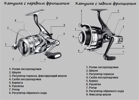  Размер катушки и вид рыбы