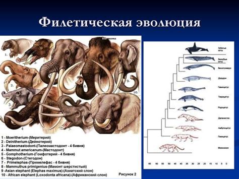  Разнообразие животных: от насекомых до млекопитающих 