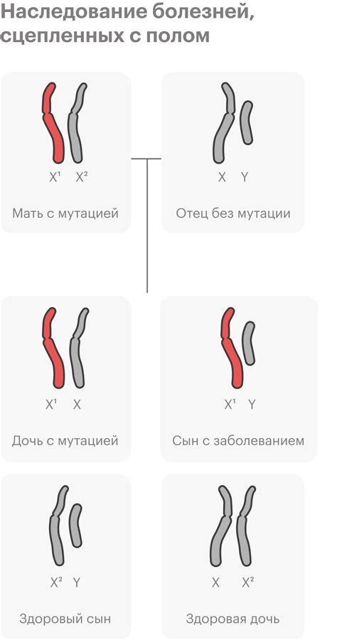  Связанные гены и наследование 