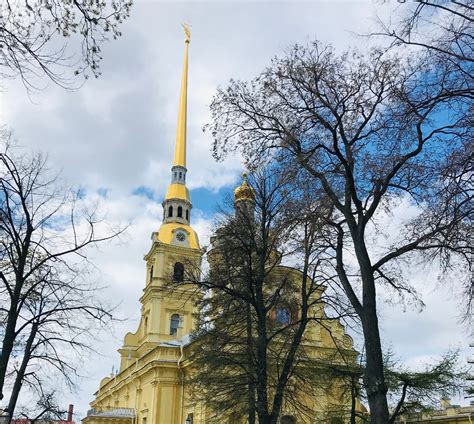  Символ новой эпохи: таинственные сновидения о младенцах 