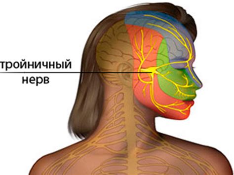  Симптомы и диагностика воспаления тройничного нерва 