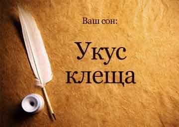  Укус клеща во сне: толкование символики сновидения 