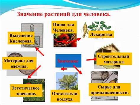  Утрата уверенности и хаос в жизни: значение сна о огороде в воде 