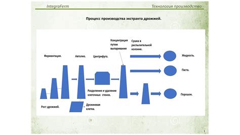  Что такое обводнение пивных дрожжей 