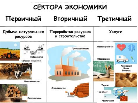  Что такое публичный сектор и его значимость в экономике 