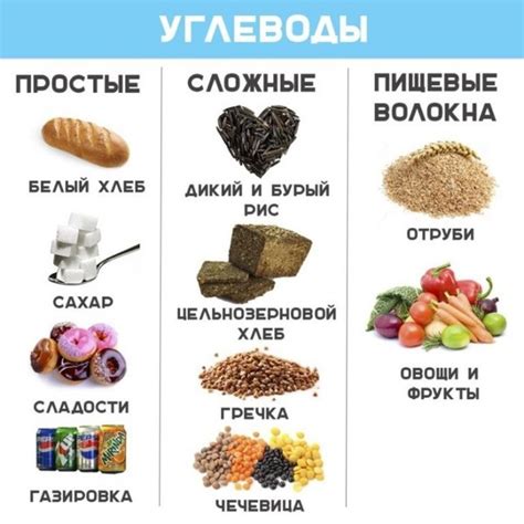  Что такое углеводы 