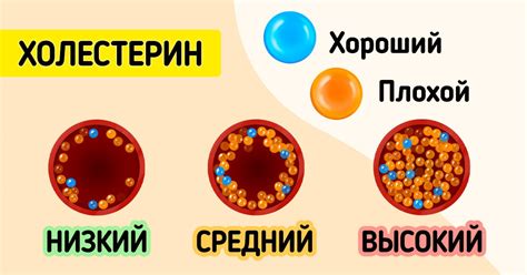  Что такое холестерин и его роль в организме 