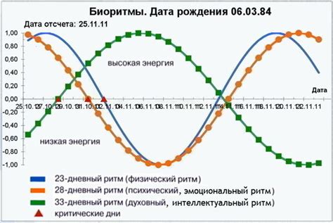   Различные типы биоритмов и их значения 