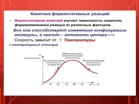 3. Кинетика