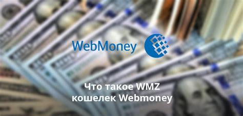 WMZ: что это и как использовать в системе WebMoney