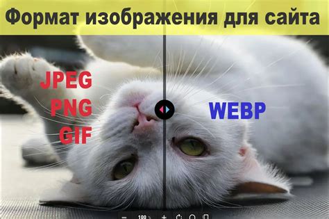 Webp и SEO: как формат влияет на оптимизацию сайта