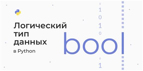 bool тип данных и true